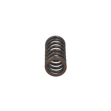 Load image into Gallery viewer, Valve Spring Fits MAN TGS TGX OE 51041020176 Febi 188166