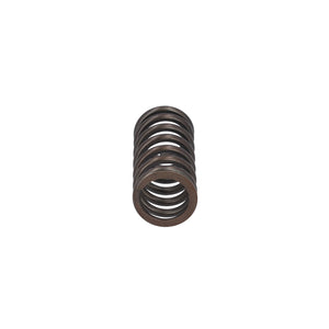 Valve Spring Fits MAN TGS TGX OE 51041020176 Febi 188166