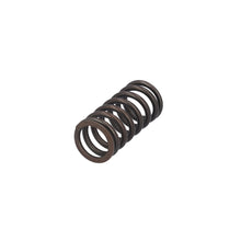 Load image into Gallery viewer, Valve Spring Fits MAN TGS TGX OE 51041020176 Febi 188166