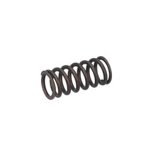 Load image into Gallery viewer, Valve Spring Fits MAN TGS TGX OE 51041020176 Febi 188166