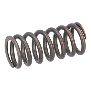 Valve Spring Fits MAN TGS TGX OE 51041020176 Febi 188166