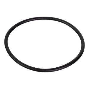 Front O-Ring Fits MAN Trucks F2000 FOC HOC NL NM TGA OE 06.56939.0016 Febi 18992