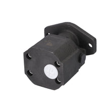 Load image into Gallery viewer, Fuel Pump Fits DAF 85 C 95 XF CF 2000 OE 1339200 Febi 192758