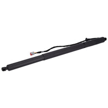 Load image into Gallery viewer, Tailgate Gas Strut Fits Ford Focus IV Turnier OE 2508794 Febi 194339