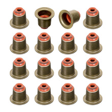 Load image into Gallery viewer, Valve Stem Seal Kit Fits Land Rover Freelander Group Tourer BMW 1 Ser Febi 21116