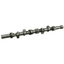 Load image into Gallery viewer, Camshaft Fits Renault Clio Kangoo Megane Scenic Symbol Thalia I Febi 21987