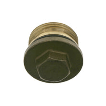 Load image into Gallery viewer, Wheel Case Bolt Plug Inc O-Ring Fits Volvo B10 B BLE L M BR R B12 B7 Febi 22529