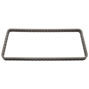 Camshaft Timing Chain Fits BMW M3 Z3 Z4 OE 11 31 7 830 869 Febi 25378
