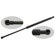 Load image into Gallery viewer, Boot Gas Strut 3 Series Tailgate Support Lifter Fits BMW Febi 27601