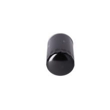 Load image into Gallery viewer, Fuel Filter Fits IVECO 370 AP160 EuroClass TurboStar TurboTech370 M P Febi 31218