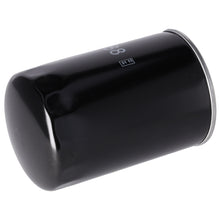 Load image into Gallery viewer, Fuel Filter Fits IVECO 370 AP160 EuroClass TurboStar TurboTech370 M P Febi 31218