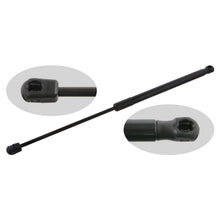 Load image into Gallery viewer, Boot Gas Strut Sandero Tailgate Support Lifter Fits Renault Febi 31438