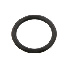 Load image into Gallery viewer, Spring Bush O-Ring Fits Renault AE MAGNUM KERAX E-TECH MANAGER MASCOT Febi 32979