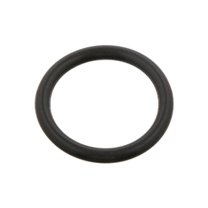 Spring Bush O-Ring Fits Renault AE MAGNUM KERAX E-TECH MANAGER MASCOT Febi 32979