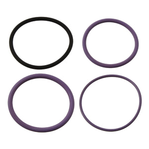 Injection Valve Seal Ring Kit Fits Volvo B12 BR B M R B13 B9 L S TL F Febi 35200