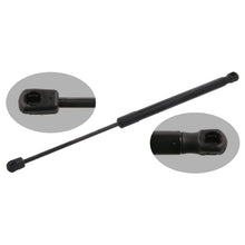 Load image into Gallery viewer, Boot Gas Strut Passat Tailgate Support Lifter Fits VW 4motion Febi 37481
