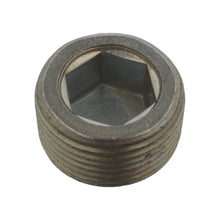 Load image into Gallery viewer, Oil Drain Plug Fits Ford Lancia Dedra Delta Kappa Lybra Musa Thema Y Febi 38179