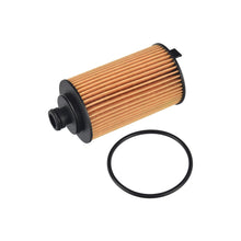 Load image into Gallery viewer, Oil Filter Fits MG (Motor Ltd.) MG 6 OE 10048217 Blue Print ADBP210129