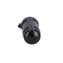 Load image into Gallery viewer, Fuel Filter Fits Ford OE 2600314 Blue Print ADBP230063