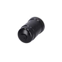 Load image into Gallery viewer, Fuel Filter Fits Ford OE 2600314 Blue Print ADBP230063