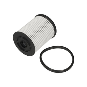 Fuel Filter Fits Citroën OE 1674213480 Blue Print ADBP230072