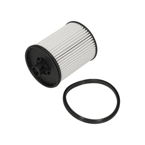 Fuel Filter Fits Citroën OE 1674213480 Blue Print ADBP230072