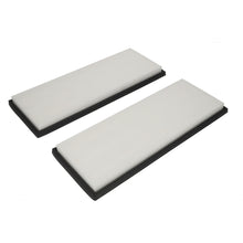 Load image into Gallery viewer, Cabin Filter Set Fits Tesla Model Y OE 1658375-00-A Blue Print ADBP250074