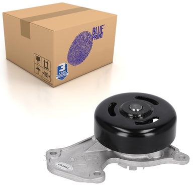 Water Pump Fits Dacia Renault Clio Nissan Micra 210102662R Blue Print ADBP910021