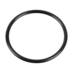 Front O-Ring For King Pin Fits DAF MAN Volvo Trucks 06.56341.4505 Febi 04501