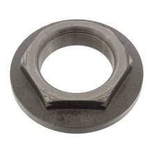 Load image into Gallery viewer, Left Axle Nut Fits Trailor OE 6502801E Febi 04709