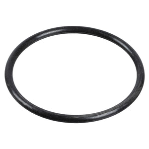 Brake Camshaft O-Ring Fits ROR Trailor Sauer Achsen OE 21016721 Febi 04948