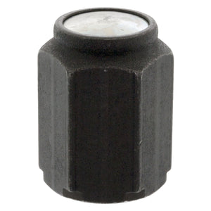 Wheel Nut Fits Bergische Achsen Volvo Universell verwendbar NKW Scani Febi 05717