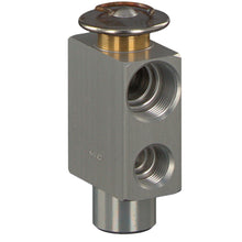 Load image into Gallery viewer, Expansion Valve Fits Mercedes Benz Model 123 S-Class 126 Febi 08897