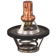 Load image into Gallery viewer, Thermostat Inc O-Ring Fits Renault Clio R19 II OE 7700858802 Febi 09335