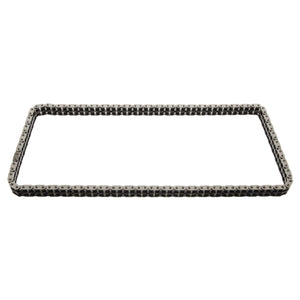 Camshaft Timing Chain Fits BMW 3 Series Z3 OE 11 31 1 739 480 Febi 09341