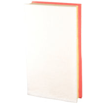 Load image into Gallery viewer, Passat Air Filter Fits Volkswagen Tiguan 3Q0 129 620 A Febi 101338