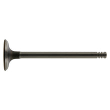 Load image into Gallery viewer, Inlet Valve Fits BMW 3 Series E30 E36 5 E34 OE 11341722908 Febi 12860