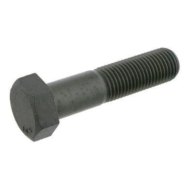 Hex Bolt Fits Volvo Universell verwendbar NKW Scania Renault Neoplan Febi 15343