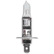 Load image into Gallery viewer, Bulb Fits Universal OE Febi 172728