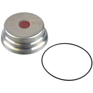 Hub Cap Fits Sauer Achsen OE 3 304 0072 00 Febi 173100