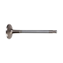 Load image into Gallery viewer, Inlet Valve Fits Vauxhall Antara Astra Calibra Cavalier Frontera Omeg Febi 17386