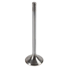 Load image into Gallery viewer, Exhaust Valve Fits MAN OE 51.04101.0548 Febi 175522