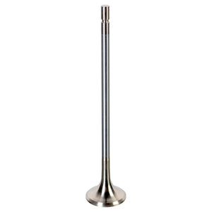 Exhaust Valve Fits Volvo OE 8148574 Febi 175553