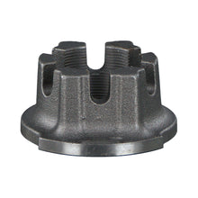 Load image into Gallery viewer, Axle Nut Fits Bergische Achsen OE 03.262.17.19.0 Febi 176319