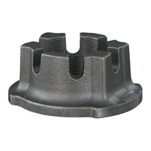 Load image into Gallery viewer, Axle Nut Fits Bergische Achsen OE 03.262.17.19.0 Febi 176319