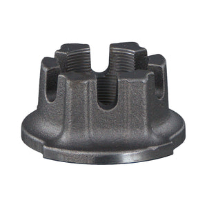 Axle Nut Fits Bergische Achsen OE 03.262.17.19.0 Febi 176319