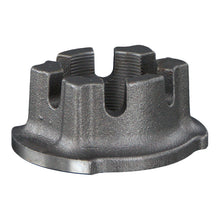 Load image into Gallery viewer, Axle Nut Fits Bergische Achsen OE 03.262.17.19.0 Febi 176319
