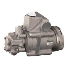 Load image into Gallery viewer, Tandem Pump Fits DAF OE 1692 050 Febi 176462