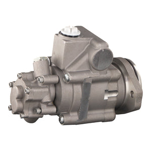 Tandem Pump Fits DAF OE 1692 050 Febi 176462