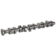 Load image into Gallery viewer, Camshaft Fits VW OE 070 109 101 Q Febi 176784